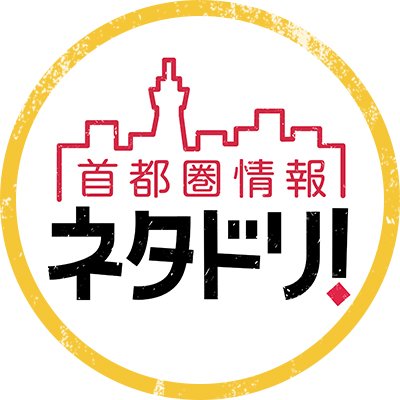 【TV出演情報】さくら事務所会長 長嶋修が「首都圏情報 ネタドリ！」に出演します。